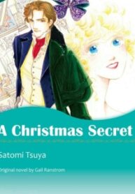 A Christmas Secret