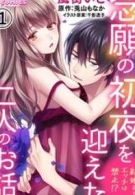 Kekkon Made Ecchi Wa Kinshi!? Nengan No Shoya Wo Mukaeta Futari No Ohanashi.