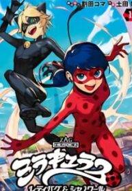 Miraculous: Lady Bug & Chat Noir