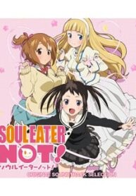 Soul Eater Not!