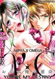 Top Class Alpha X Omega In Heat: You're My Destiny